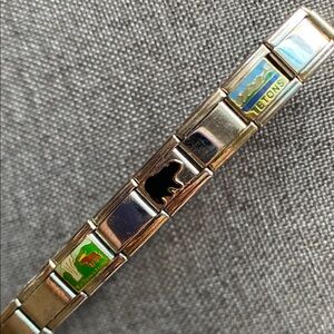 Italian Stainless Steel Modular Charm Bracelet Yellowstone Bison Bear